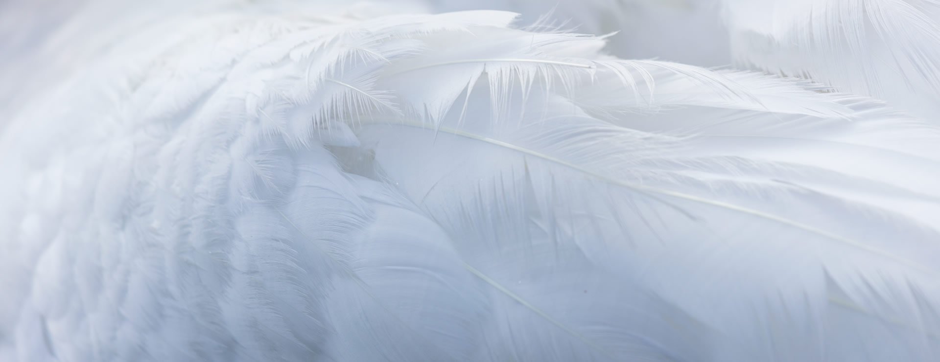 企業(yè)經(jīng)營(yíng)之本，力求言行一致。